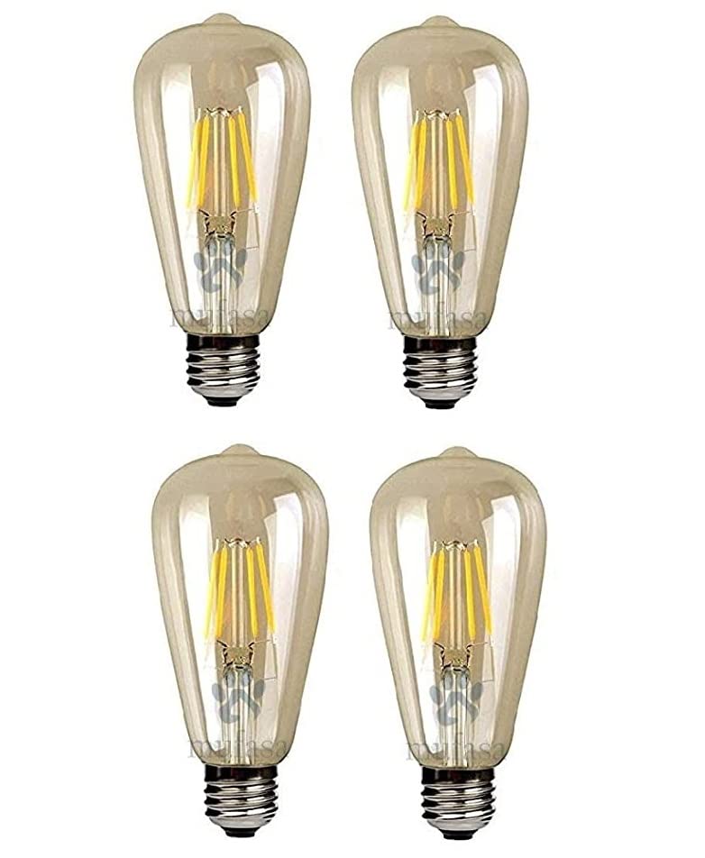 DesiDiya® Edison Tungsten Filament Antique Glass Light Bulbs