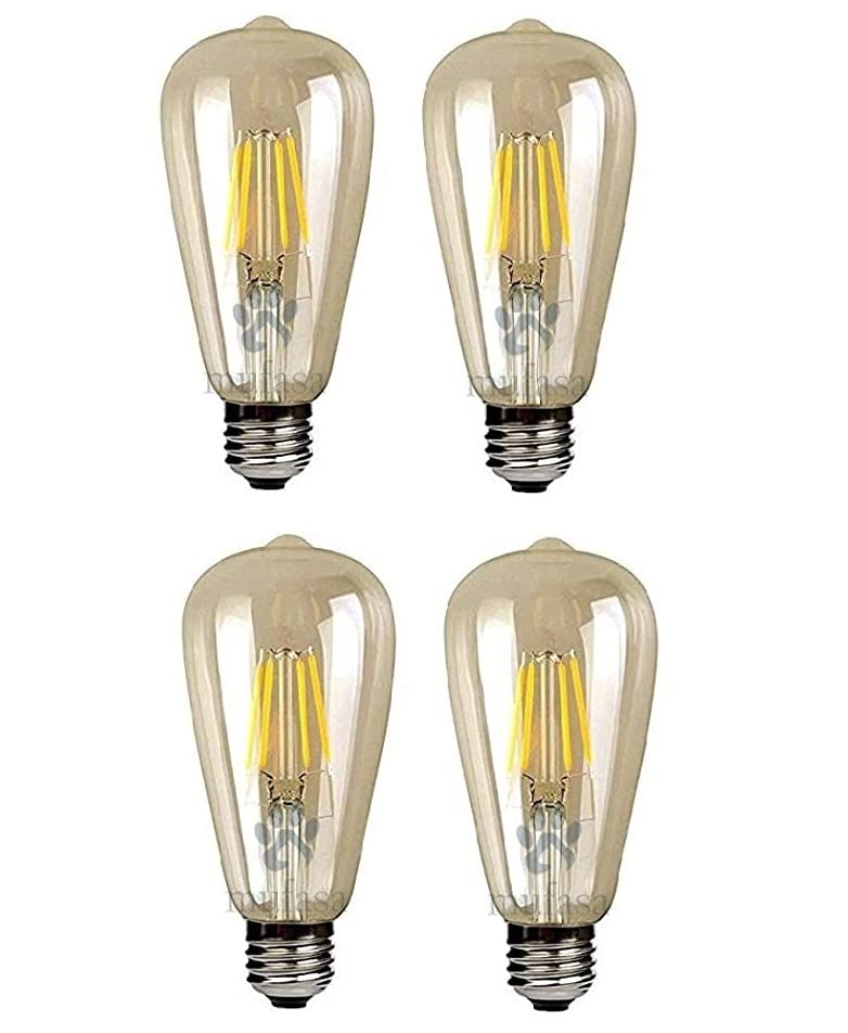 DesiDiya® Edison Tungsten Filament Antique Glass Light Bulbs